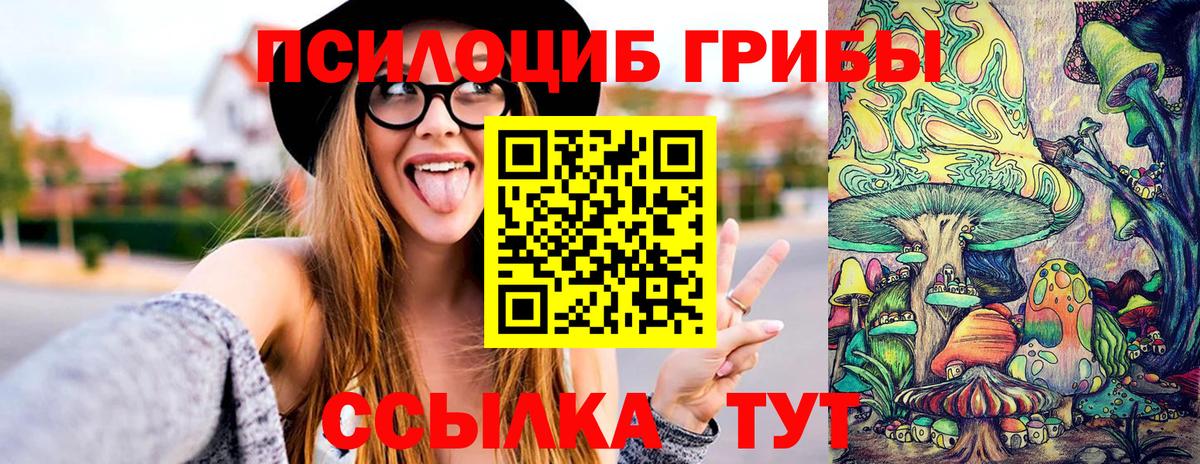 Галлюциногенные грибы Psilocybine cubensis Новочебоксарск